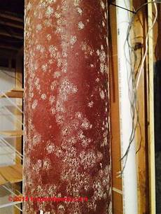 Stainless Steel Hose Clamps